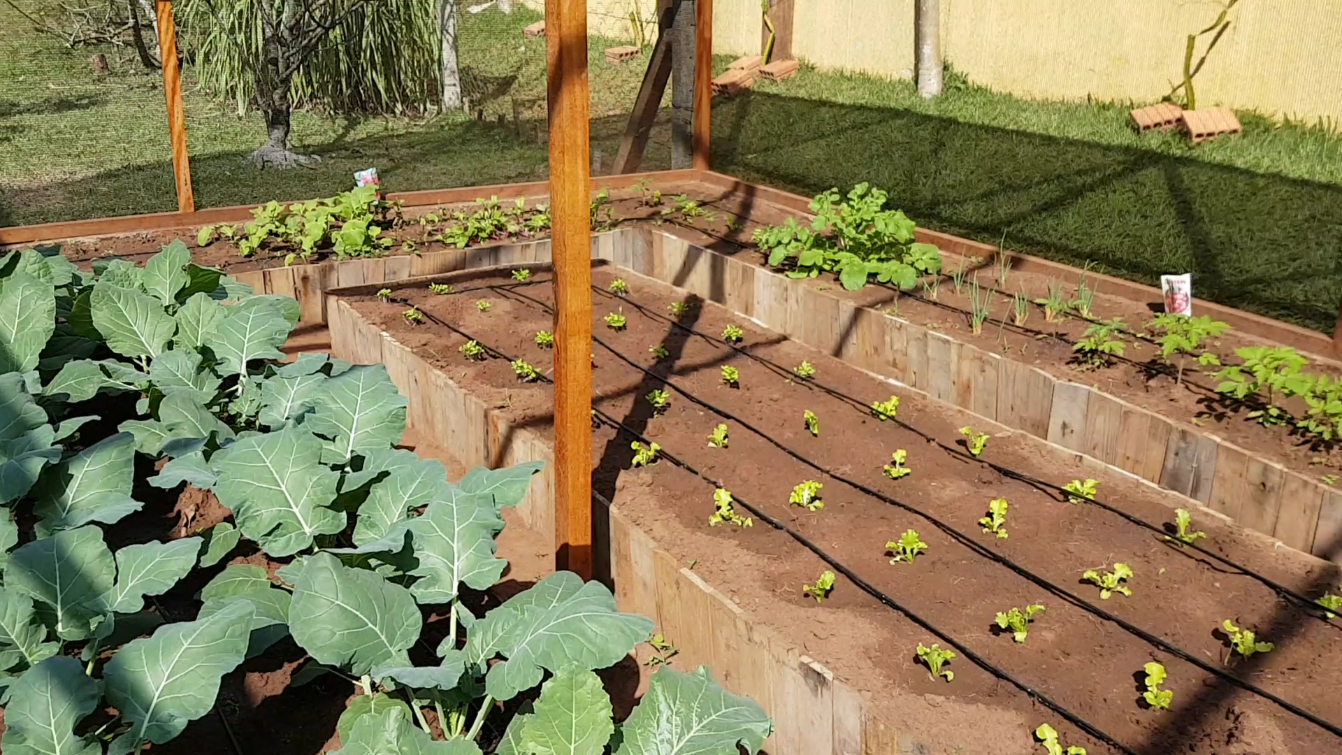 Projeto Integrador de Araras desenvolve ferramenta para controle de hortas caseiras