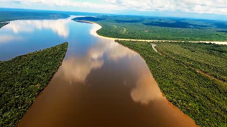 Univesp TV lança série sobre a biodiversidade na Amazônia 